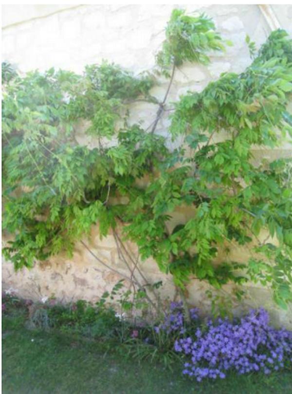Le Clos De La Chapelle - Gite Les Glycines ภายนอก รูปภาพ